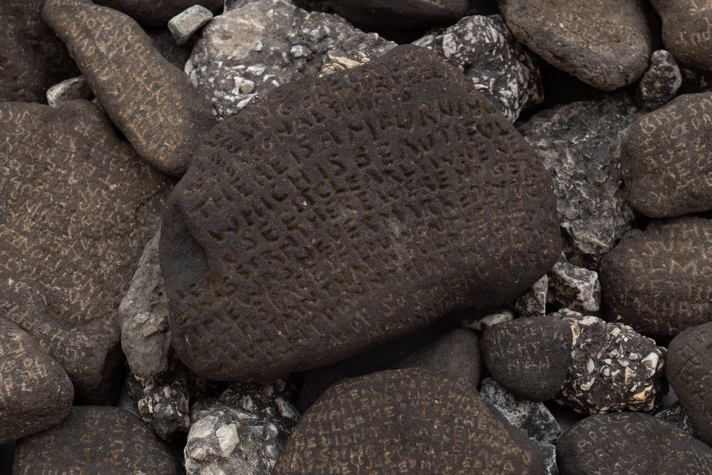 Alternative text can go here.